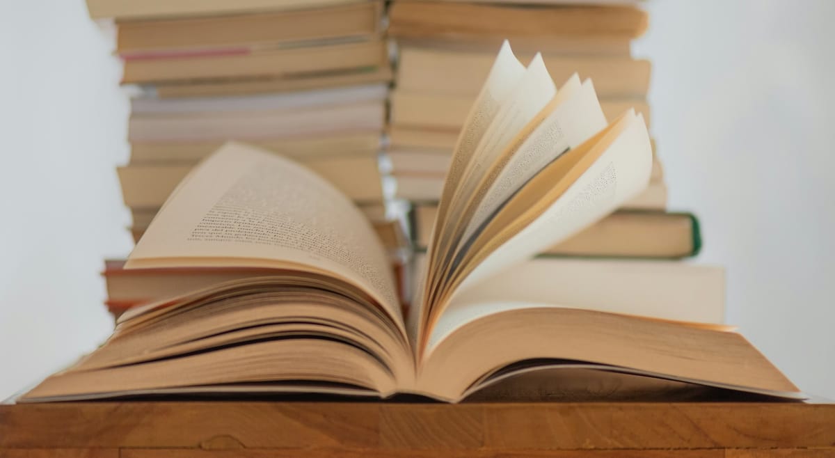 Dette skriver jeg om